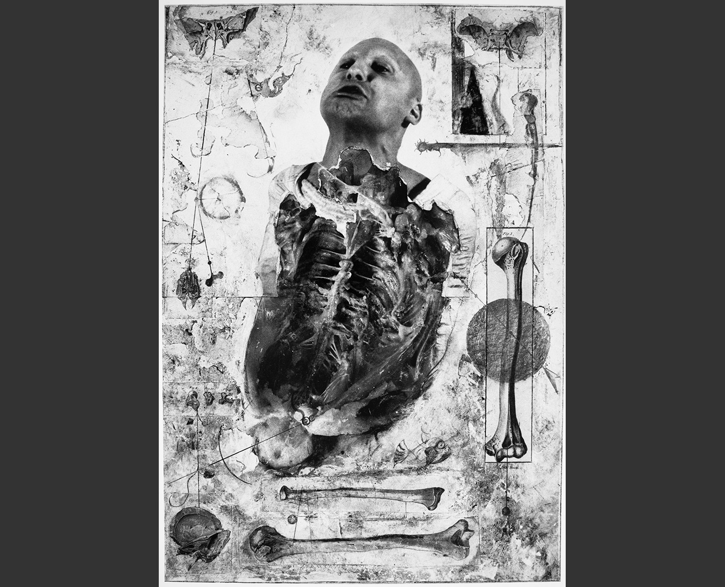 Figure Studies, Paul Lowry